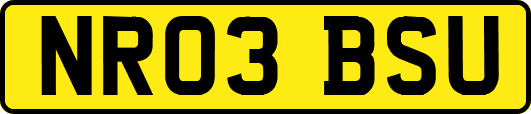 NR03BSU