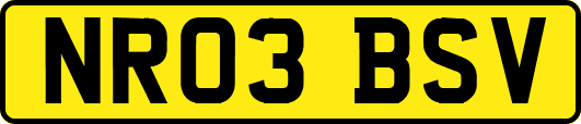 NR03BSV