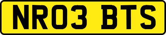 NR03BTS