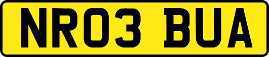 NR03BUA