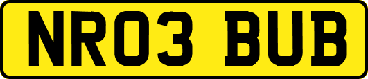 NR03BUB