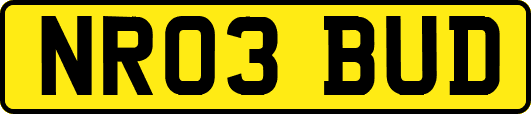 NR03BUD