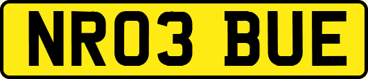 NR03BUE