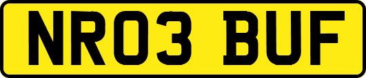 NR03BUF