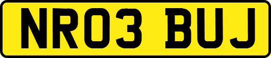 NR03BUJ