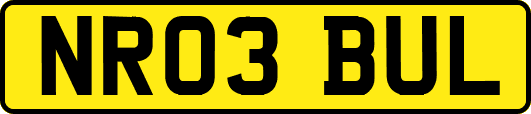NR03BUL