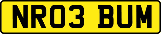 NR03BUM