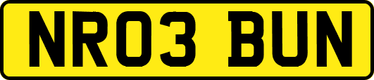 NR03BUN