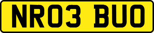 NR03BUO