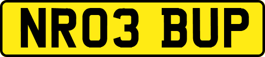 NR03BUP