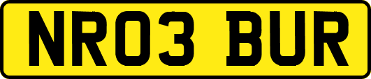 NR03BUR