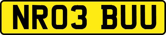 NR03BUU