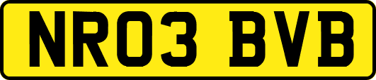 NR03BVB