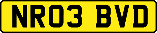 NR03BVD