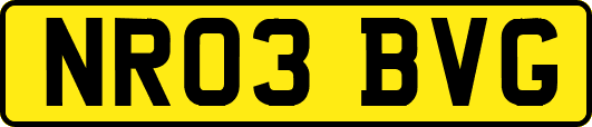 NR03BVG