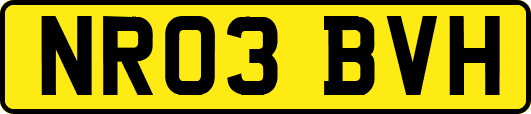 NR03BVH