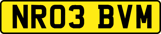 NR03BVM