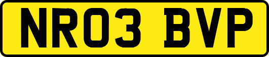 NR03BVP
