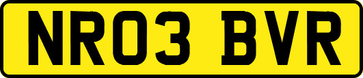 NR03BVR