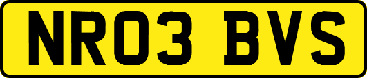 NR03BVS