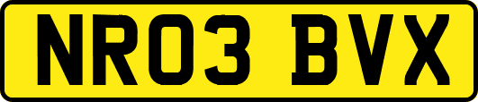 NR03BVX
