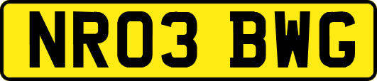 NR03BWG