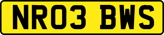 NR03BWS