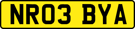 NR03BYA