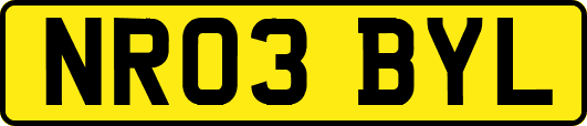 NR03BYL