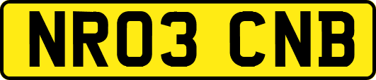 NR03CNB