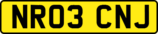 NR03CNJ