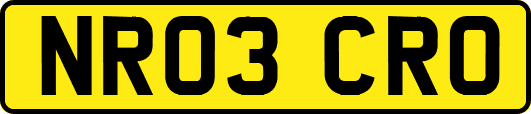 NR03CRO