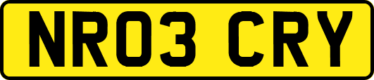 NR03CRY