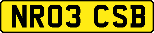 NR03CSB
