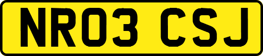 NR03CSJ