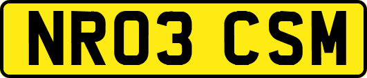 NR03CSM