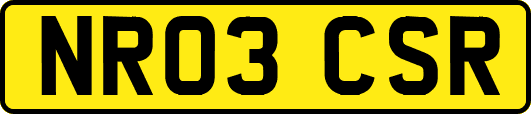 NR03CSR