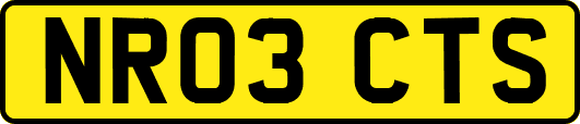 NR03CTS