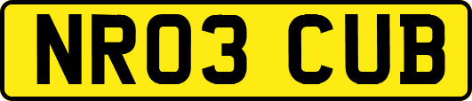 NR03CUB