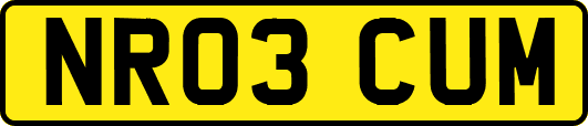 NR03CUM