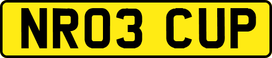 NR03CUP