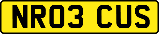 NR03CUS