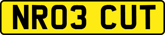 NR03CUT
