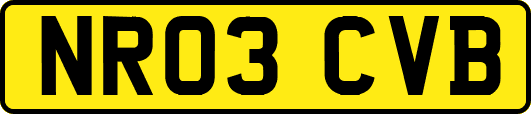 NR03CVB