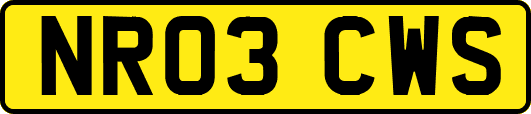 NR03CWS