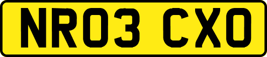 NR03CXO