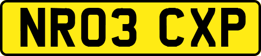 NR03CXP