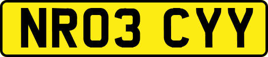 NR03CYY