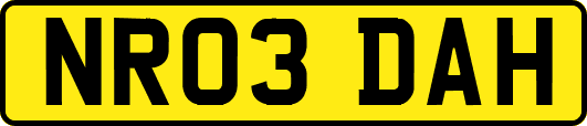 NR03DAH