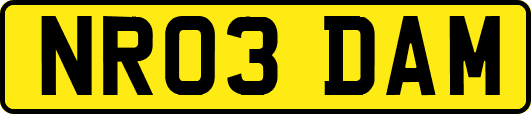 NR03DAM